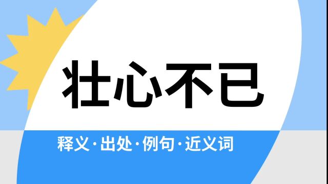 “壮心不已”是什么意思?