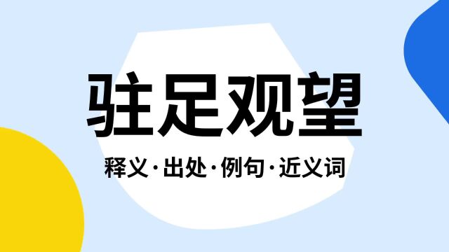 “驻足观望”是什么意思?