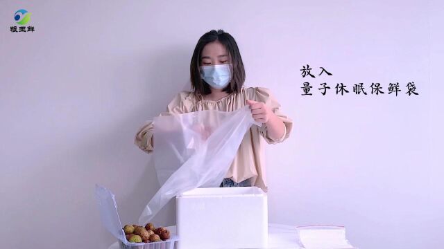 使用教程——量子休眠荔枝保鲜解决方案