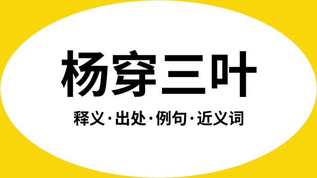 “杨穿三叶”是什么意思?