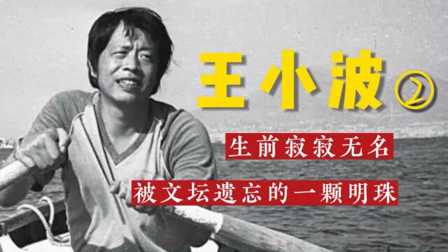 死后爆红的王小波:生前郁郁不得志,45岁撞墙身亡,葬礼无人相送