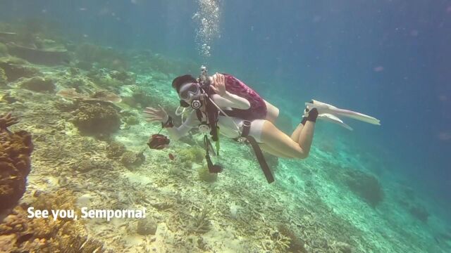 Mew 2023@Semporna Diving Adventure