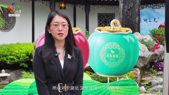 中印东湖茶叙5周年:东湖之光以茶为载弘扬国粹