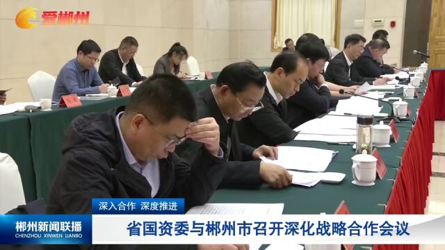 深入合作 深度推进 省国资委与郴州市召开深化战略合作会议