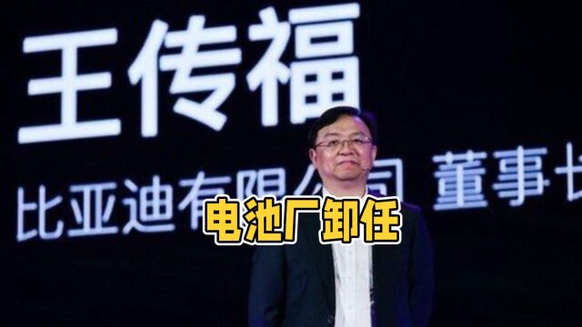 比亚迪锂电池公司高层变动,王传福卸任,何龙接棒董事长