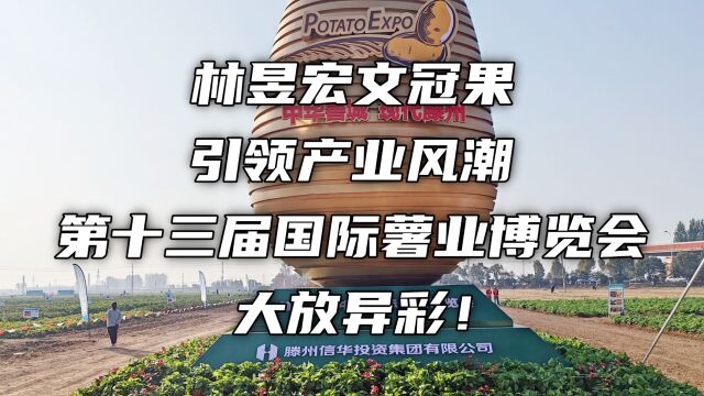 林昱宏文冠果引领产业风潮,第十三届国际薯业博览会大放异彩!