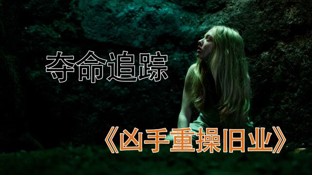 凶手逍遥自在重操旧业,故技重施自投罗网,悬疑《夺命追踪》