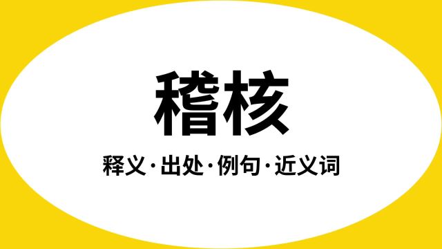 “稽核”是什么意思?