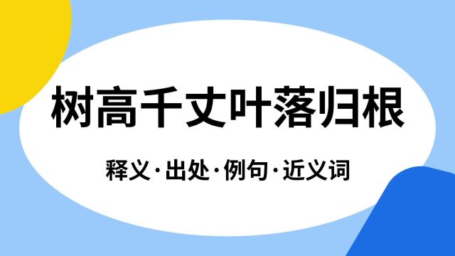 “树高千丈叶落归根”是什么意思?