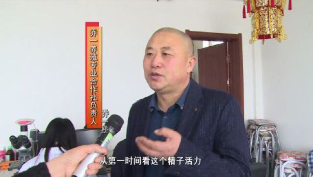 专题【乡村振兴进行时】德惠市乔一养殖专业合作社:爬坡过坎 踏实发展