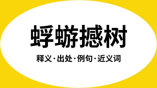 “蜉蝣撼树”是什么意思?