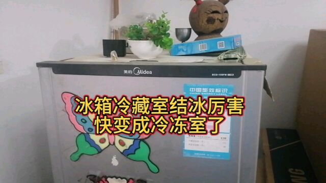 美的冰箱冷藏室结冰厉害,快变成冷冻室了,今天不花一分钱修好了