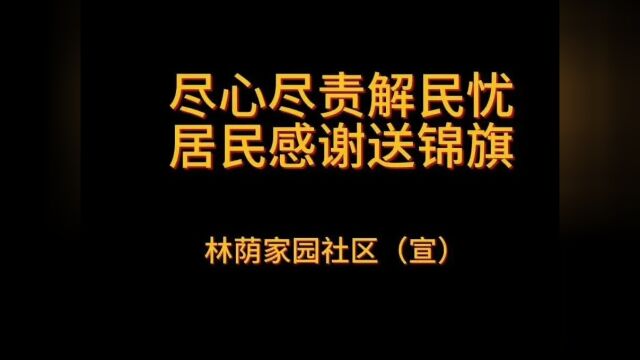 滨河街道林荫家园社区:尽心尽责解民忧,居民感谢送锦旗