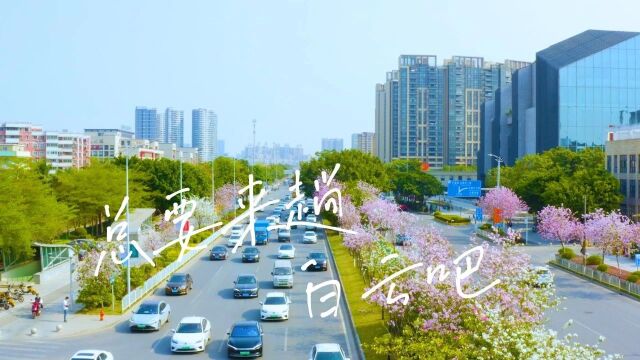 广州超级草莓音乐节全阵容公布!戳进来→ 免!费!送!票!