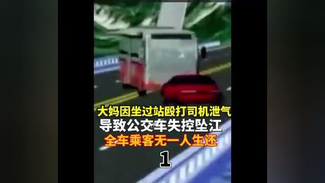 大妈因坐过站殴打司机泄气导致公交车失控坠江全车乘客无一人生还#下集更精彩