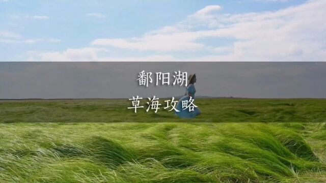 人均不过百给你们安排了一份鄱阳湖草海游玩攻略这个春天一起去看绿色的海洋吧!