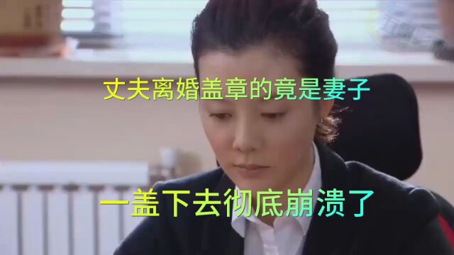 丈夫离婚盖章的竟是妻子,一盖下去彻底崩溃了