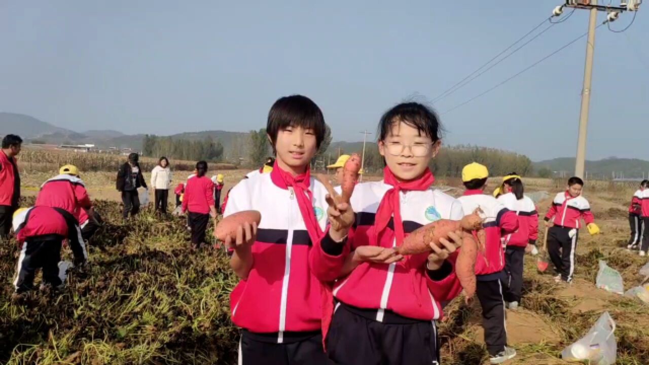 感受丰收之乐 密云区两所小学学生参与秋季社会大课堂实践