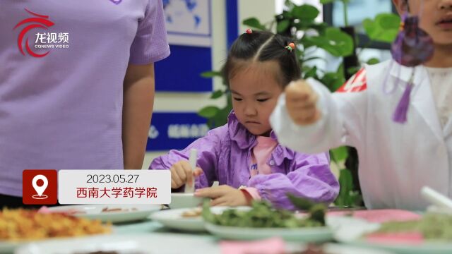 大手牵小手 200余名小学生在西南大学成“小小药学家”