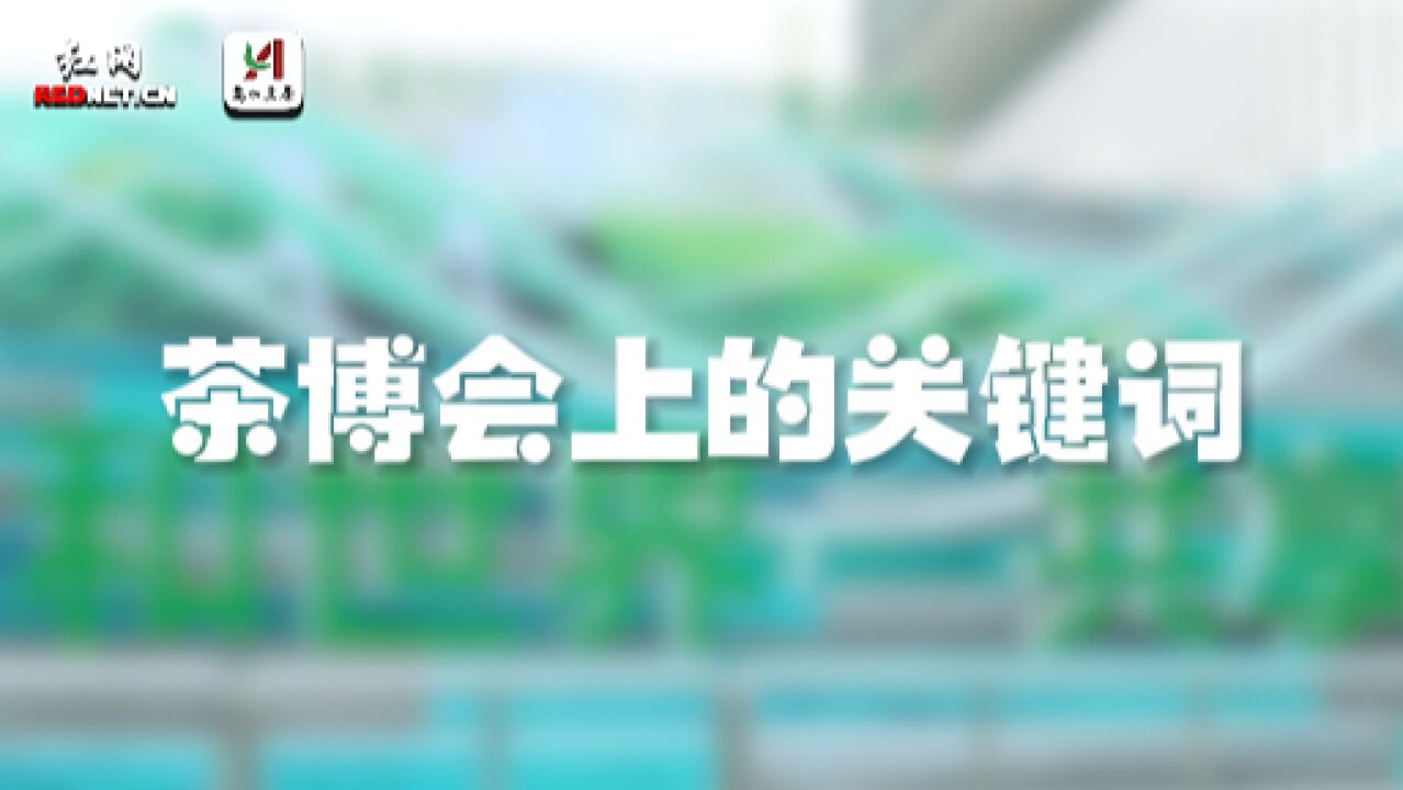 安化“气势”与黑茶“新意” | 茶博会上的关键词②