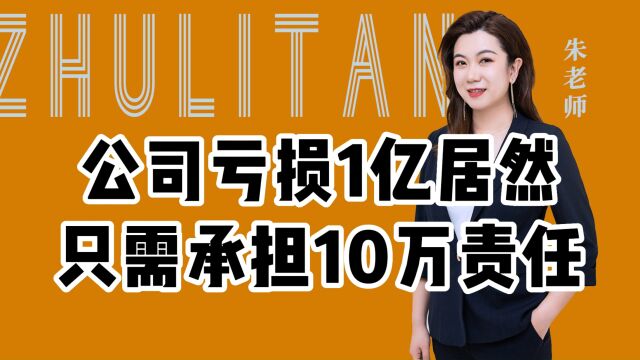 公司亏损1亿只需承担10万责任