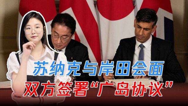 苏纳克与岸田会面,双方签署“广岛协议”,英国斥巨资搞芯片业