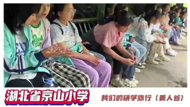 研学共进,立足成长——京山小学五年级学生参加绿林山研学旅行活动