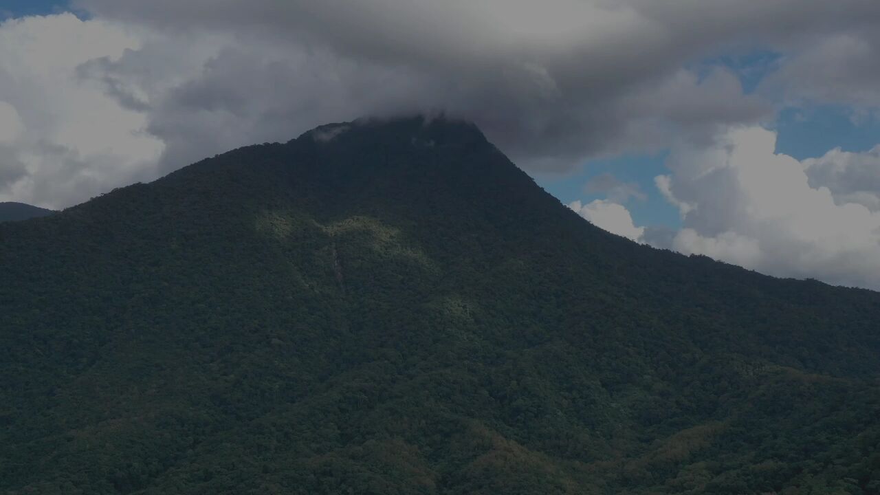 五指山:多措并举培育乡村“能人” 助力乡村振兴发展