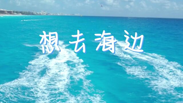 夏日入侵企划想去海边 乐队演出背景视频