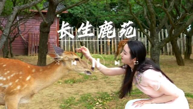 这里是南京长生鹿苑,是感受万物有灵的地方#小鹿 #治愈系 #vlog日常