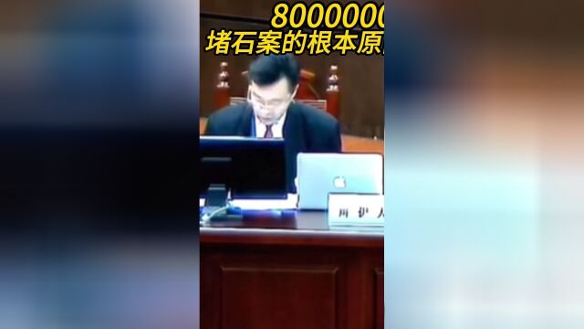 8000万堵石案是因为什么原因造成的呢? #涨知识