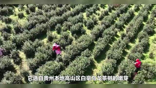 全国哪里的茶叶最好喝?经评选,这10款名列前茅,有你家乡的吗