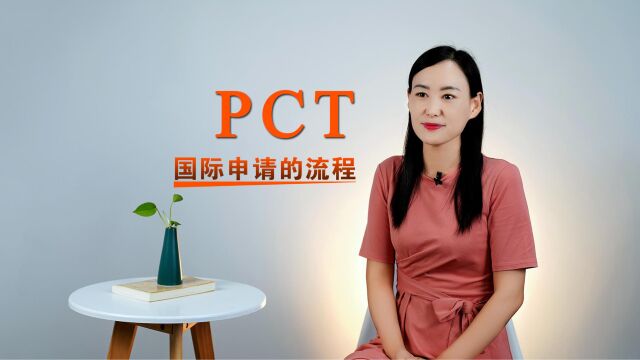 以卢森堡和坦桑尼亚为例,谈谈PCT国际申请的流程