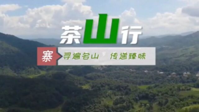 云南茶山行