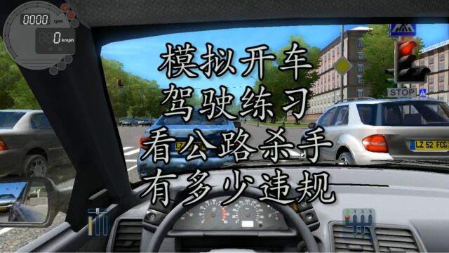 模拟驾驶与公路杀手