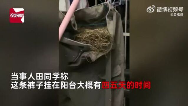 在网上花数百元问诊,靠谱吗?