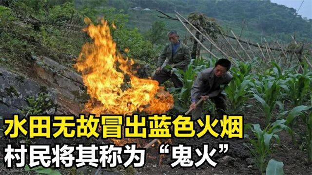 贵州水田无故冒蓝火,燃烧数月无法扑灭,村民将其称为“鬼火”