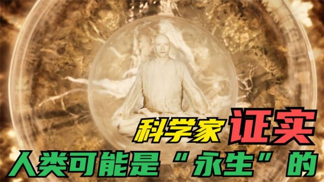 研究人员通过科学实验得出一个结论,我们人类是永生的?