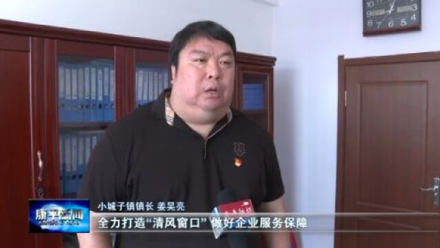 鏖战二季度 冲刺“双过半”⑥ | 小城子镇:抓项目促发展 奋力夺取“双过半”