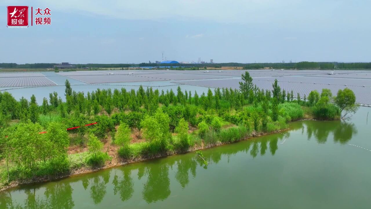 视频丨山东微山县:采煤塌陷地变为光伏领跑技术基地