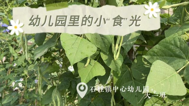 永康市石柱镇中心幼儿园——幼儿园里的小“食”光