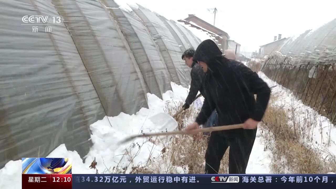 哈尔滨降雪暂时停止 清雪工作昼夜不停