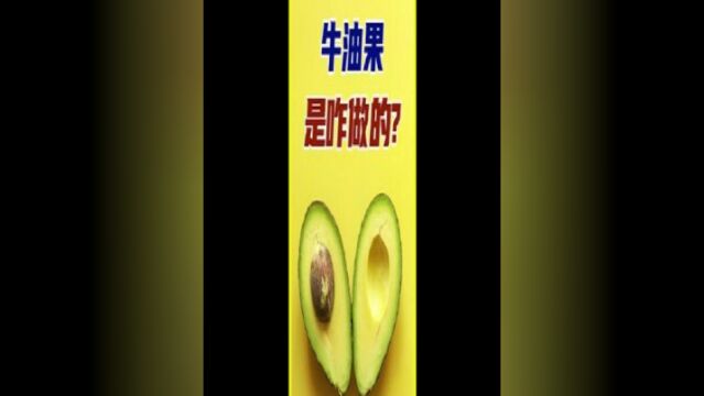 牛油果为啥卖那么贵?吃法种植