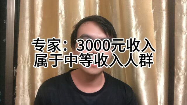 专家:3000元收入,属于中等收入,大家认同吗?