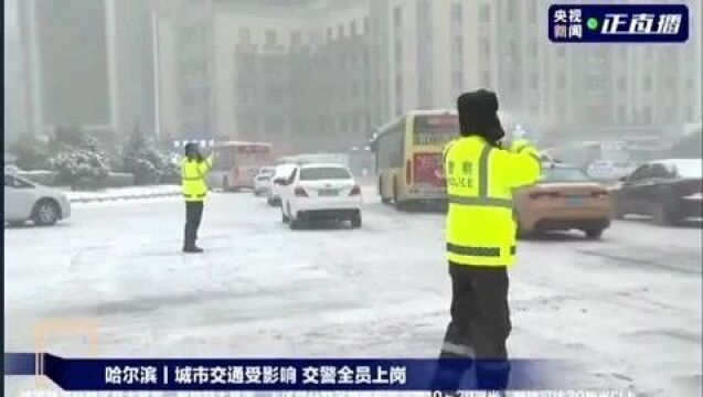 【警方视点】冰城雪“警”保平安