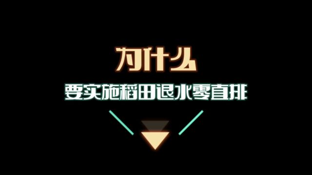 为什么要实施稻田退水零直排