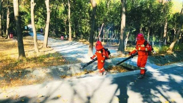 合肥大蜀山进入高度戒备状态