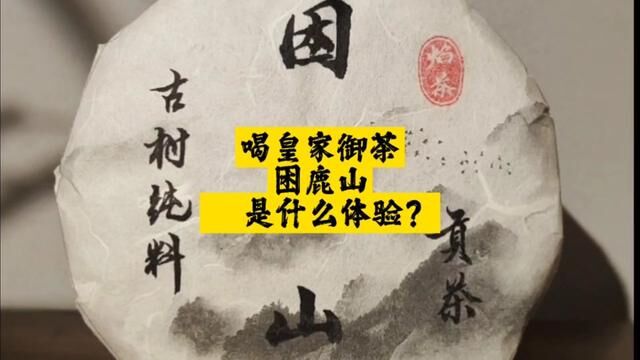 喝皇家御茶困鹿山是什么体验?#爱喝茶的关注我 #召唤茶友