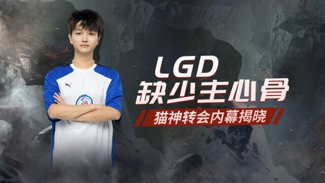 LGD缺少主心骨,猫神转会内幕揭晓!