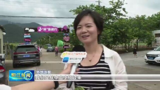 “荷”你想约!东平300亩荷花盛放,一起打卡吧!